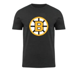 '47 BRAND Boston Bruins 47 Brand NHL Vintage Tee Shirt