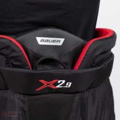 Bauer Vapor X2.9 Senior Goalie Pants 18 Bauer Vapor X2.9 Senior Goalie Pants -Hockey Sales Shop bauer goalie pants bauer vapor x2 9 senior goalie pants 5496832557122